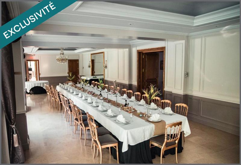 Château - 1 150 m² - 15 pièces