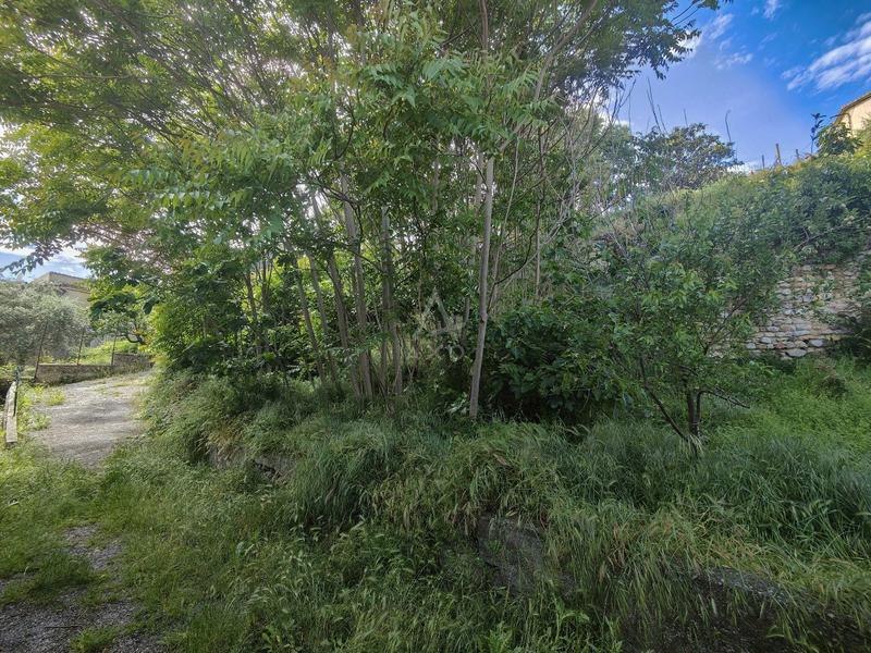 Grange - 30 m² - 1 pièce