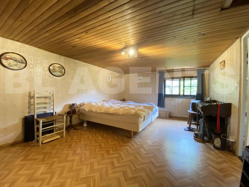 Maison en pierre - 225 m² - 6 pièces