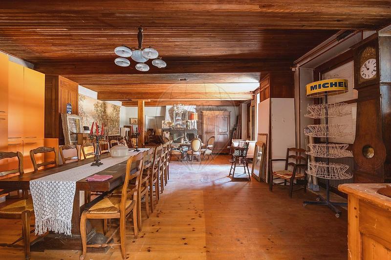 Propriété - 300 m² - 10 pièces