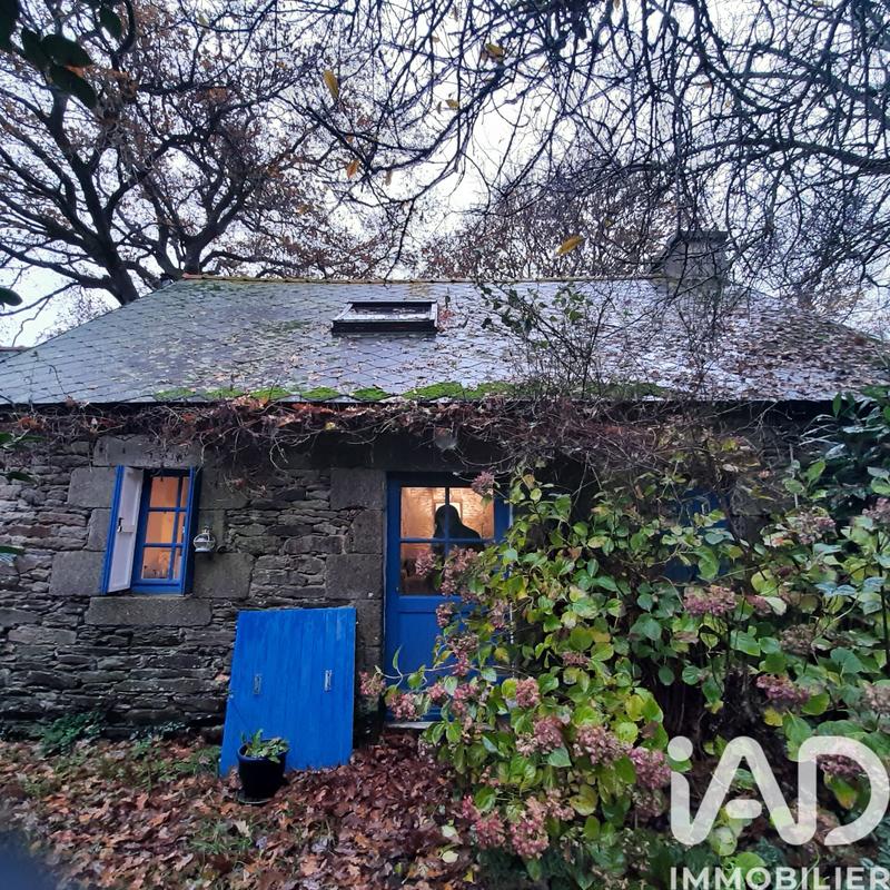 Maison de campagne - 45 m² - 3 pièces