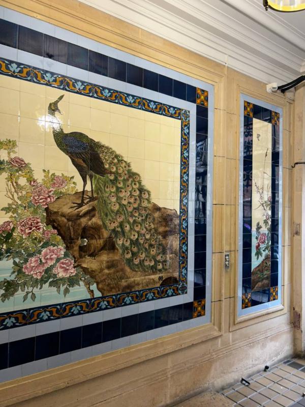 Appartement - 11 m² - 1 pièce