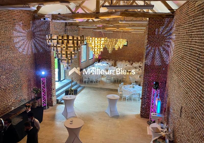 Château - 1 250 m² - 30 pièces