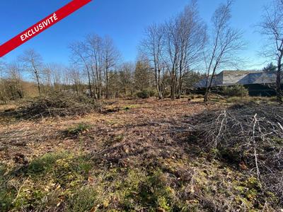 Terrain constructible - 1 081 m²