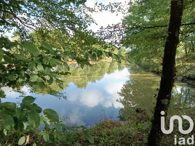 Terrain - 30 533 m²