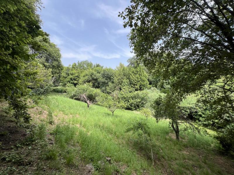 Maison - 256 m² - 5 pièces