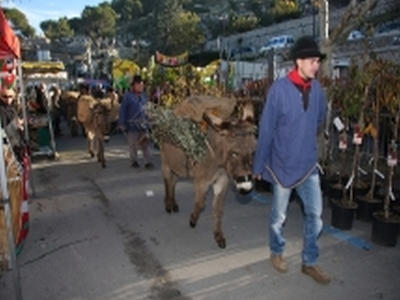 Grande Fête de l'Ane