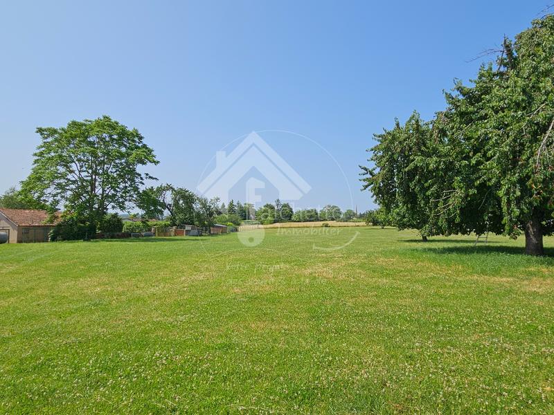 Propriété - 298 m² - 8 pièces