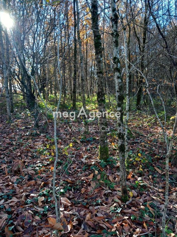 Terrain constructible - 3 064 m²