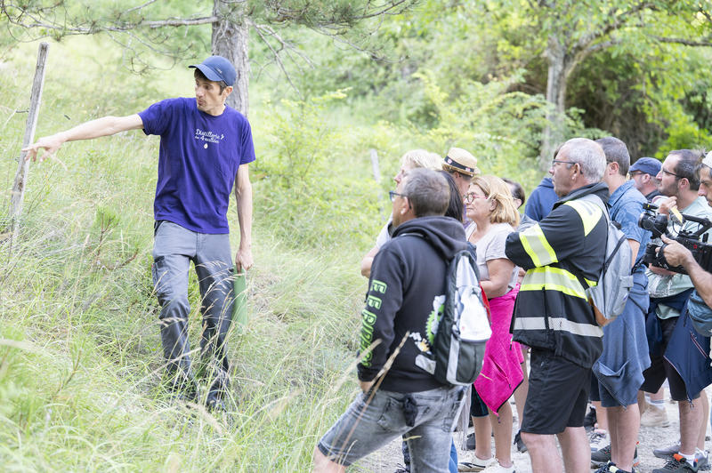 Randonnée familiale dans les champs de lavande du Vercors
