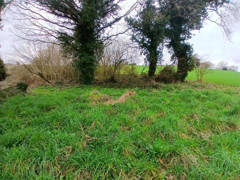 Maison en pierre - 53 m² - 3 pièces