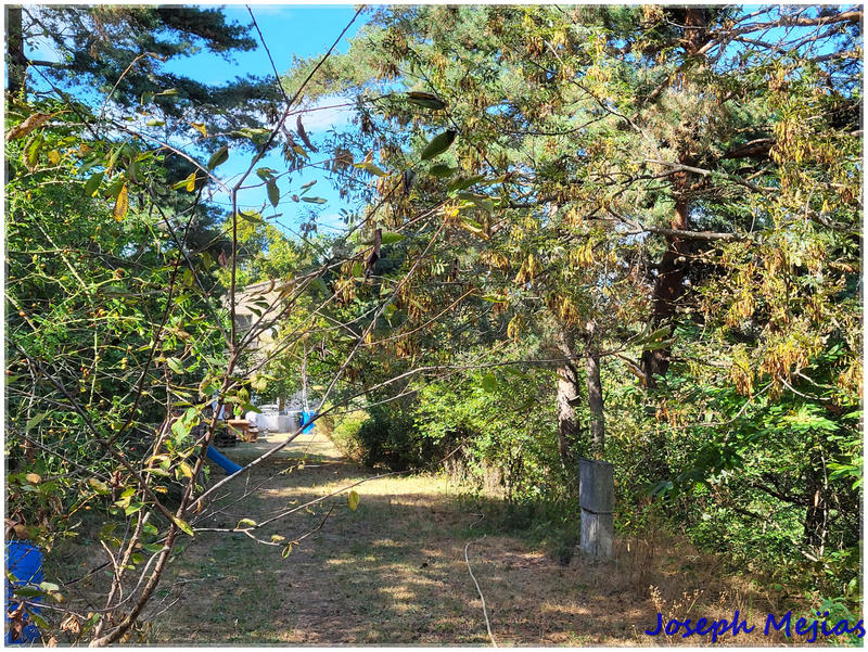 Propriété - 240 m² - 9 pièces