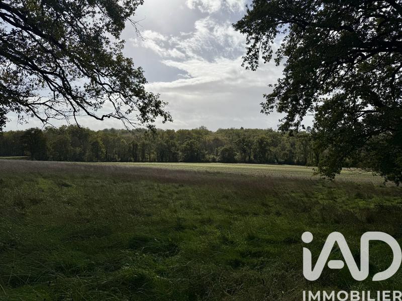 Terrain - 12 710 m²