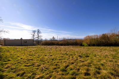 Terrain constructible - 1 254 m²