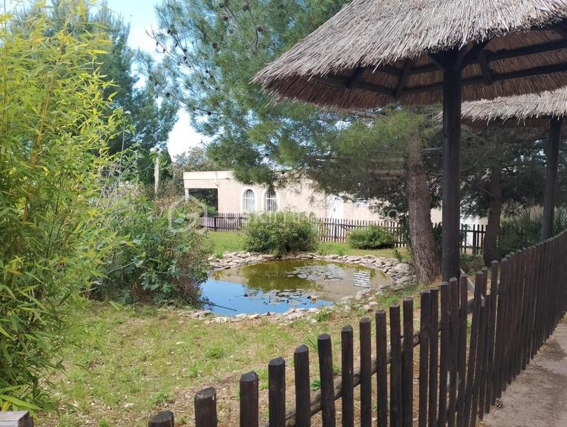 Mas - 30 m² - 3 pièces