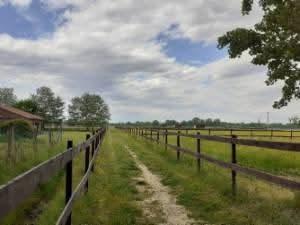 Maison - 132 m² - 9 pièces