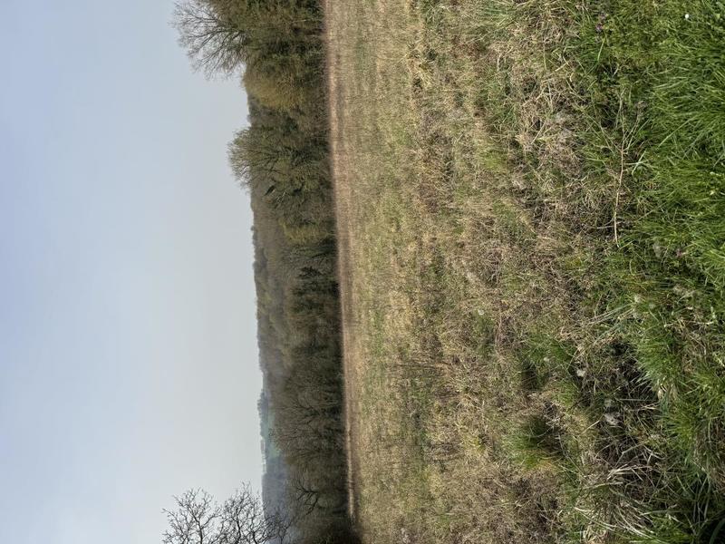 Terrain constructible - 2 305 m²