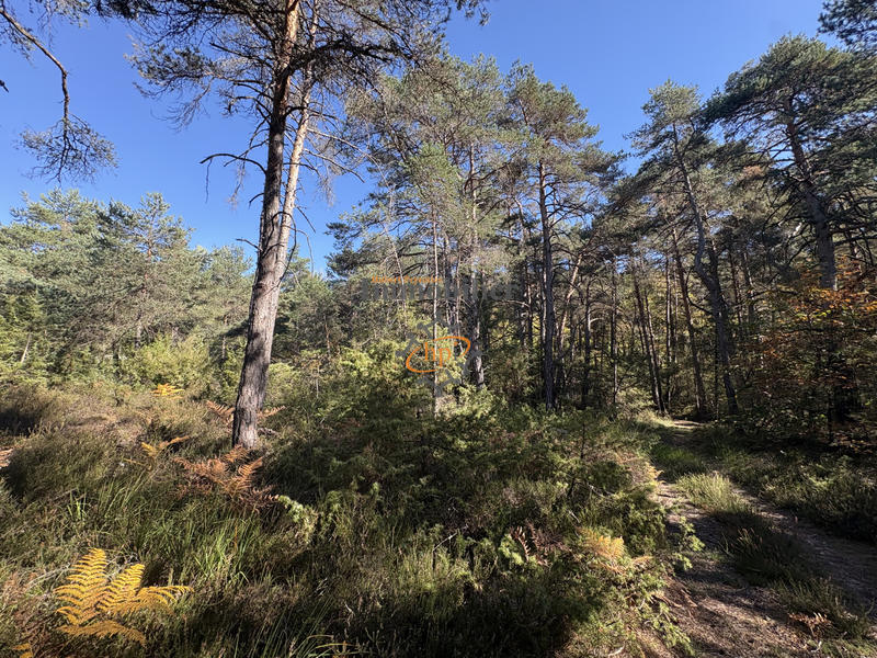 Maison - 284 m² - 7 pièces