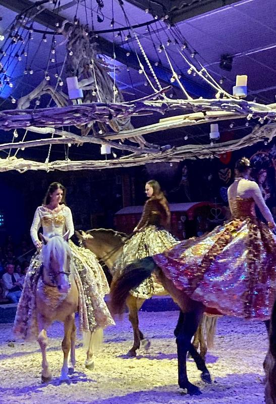 Spectacle "Anatilya, le silence sacré du Vaccarès" au Théâtre Equestre Camarkas