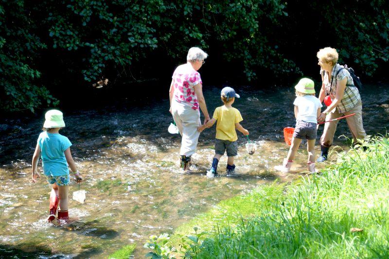 Sortie nature : Découvrir les petites bêtes du ruisseau