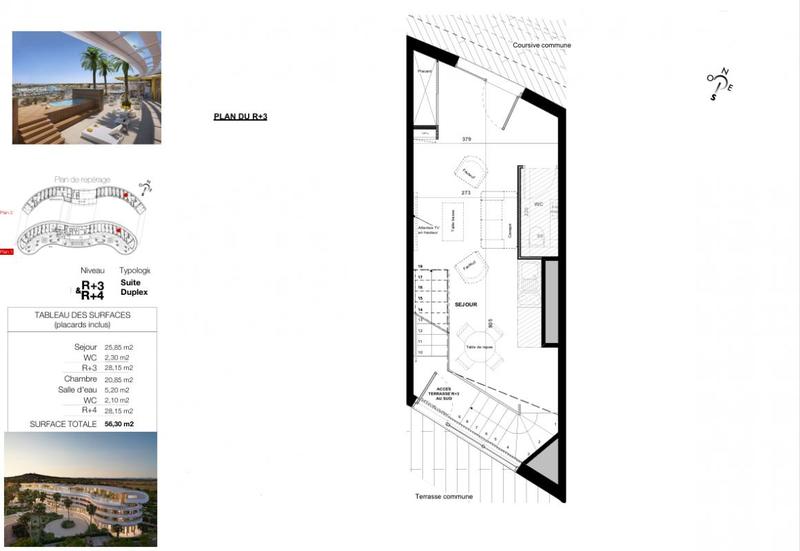 Appartement - 56 m² - 2 pièces