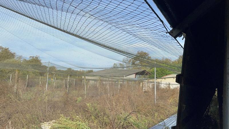 Maison - 48 m² - 1 pièce