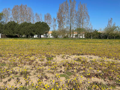 Terrain - 879 m²
