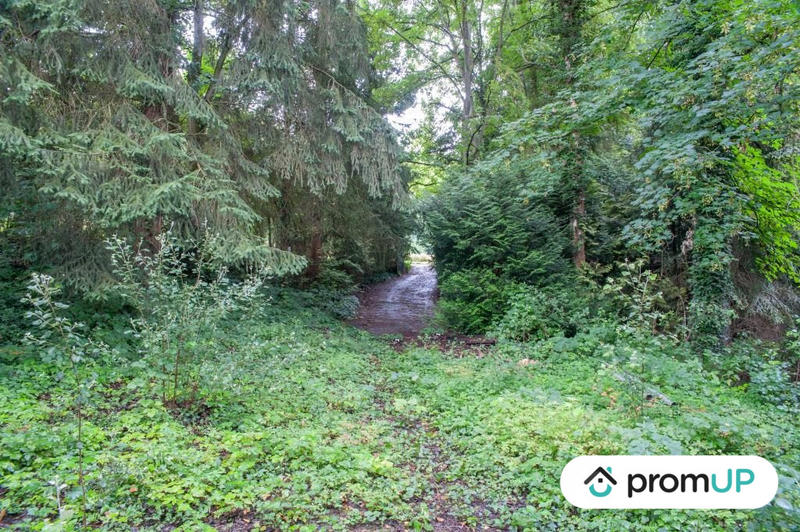 Terrain de loisirs - 6 460 m²