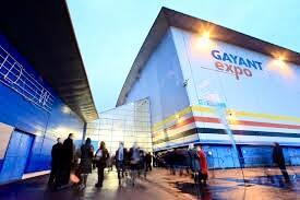 Marché aux puces de douai gayant expo