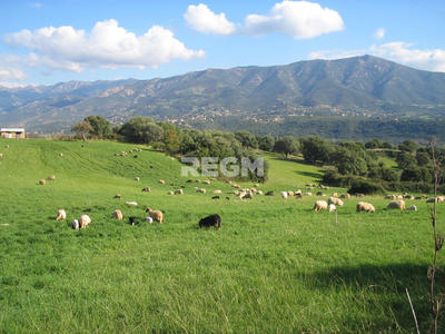 Terrain agricole - 300 000 m²