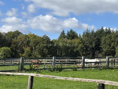 Maison - 310 m² - 7 pièces