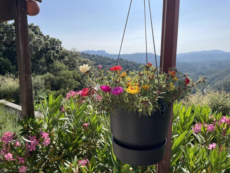 Maison - 42 m² - 3 pièces