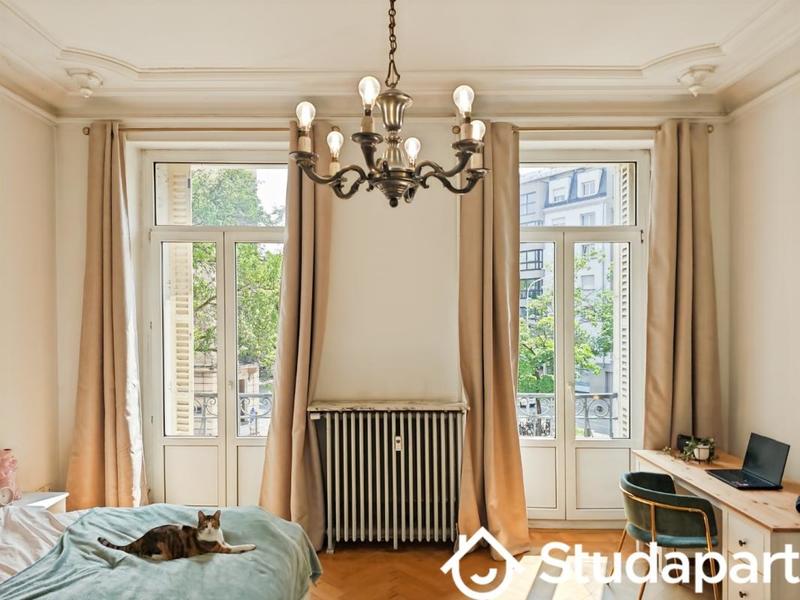 Chambre - 16 m² - 1 pièce