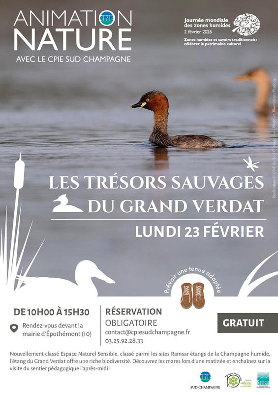 Animation nature : les trésors sauvages du Grand Verdat