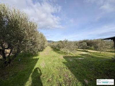 Maison - 115 m² - 4 pièces