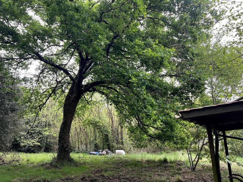 Maison - 200 m² - 9 pièces