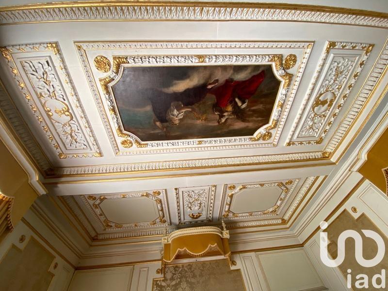 Château - 1 380 m² - 30 pièces