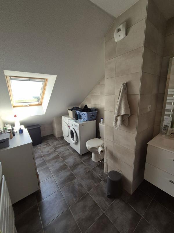 Studio - 38 m² - 1 pièce