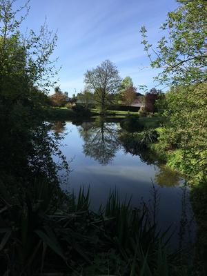 Terrain de loisirs - 3 977 m²