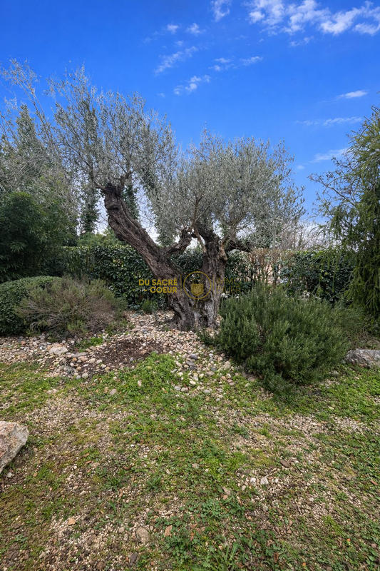 Villa - 183 m² - 5 pièces