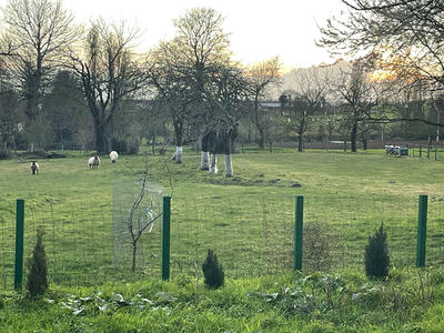 Maison - 106 m² - 4 pièces