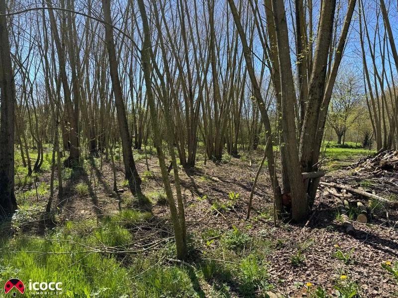 Terrain de loisirs - 3 255 m²