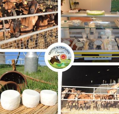 Fromagerie de Montriveau