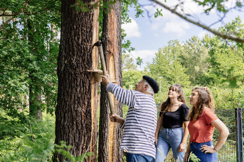 Journée découverte du Conservatoire des Landes de Gascogne