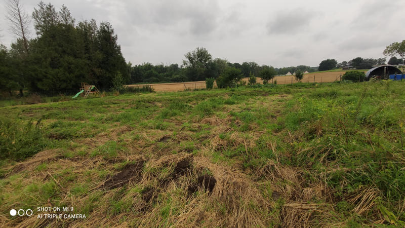 Terrain constructible - 2 643 m²