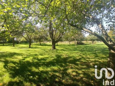 Maison - 265 m² - 9 pièces