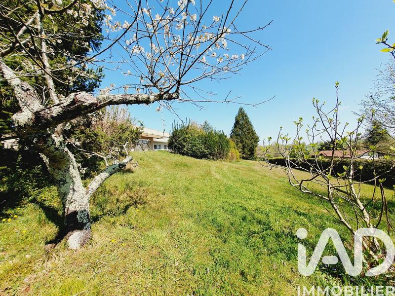 Maison de maîtres - 320 m² - 10 pièces