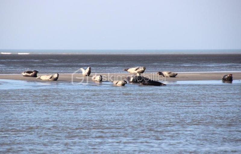 Pavillon - 75 m² - 4 pièces