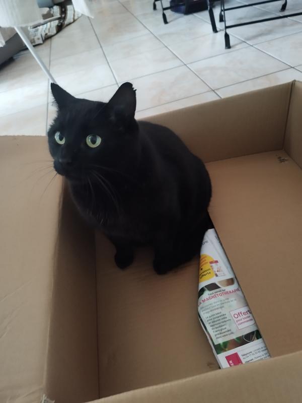 Garde et visite animaux à leur domicile