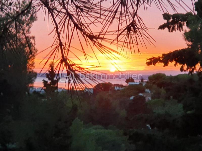 Propriété - 222 m² - 6 pièces